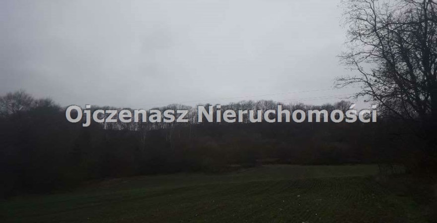 parcel for sale, 6 819 m<sup>2</sup> - Dobrcz, Strzelce Dolne