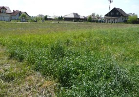 działka na sprzedaż - Nowa Wieś Wielka, Kobylarnia
