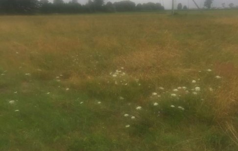 działka na sprzedaż - Nowa Wieś Wielka, Olimpin