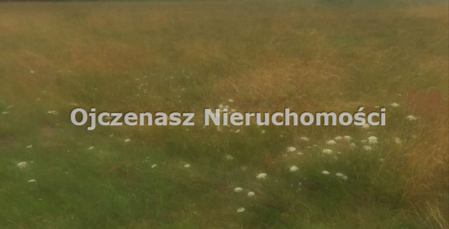 działka na sprzedaż, 12 100 m<sup>2</sup> - Nowa Wieś Wielka, Olimpin
