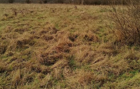 działka na sprzedaż - Nowa Wieś Wielka, Olimpin