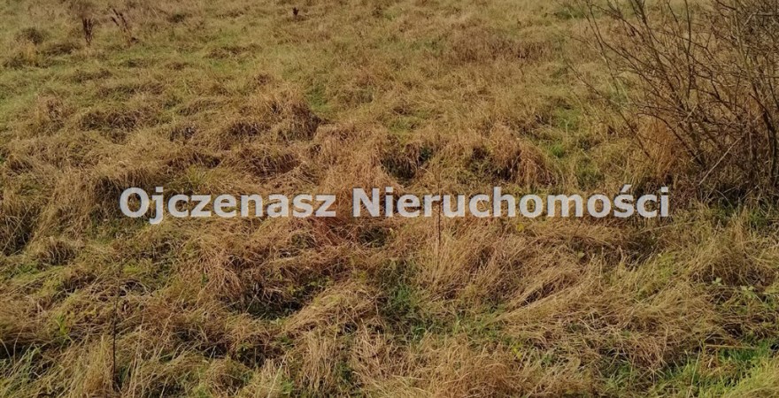 działka na sprzedaż, 3 009 m<sup>2</sup> - Nowa Wieś Wielka, Olimpin