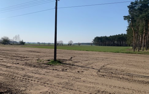 parcel for sale - Chełmno, Borówno