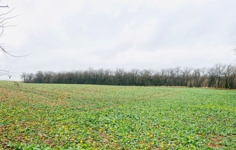 parcel for sale - Szubin (gw), Szkocja 