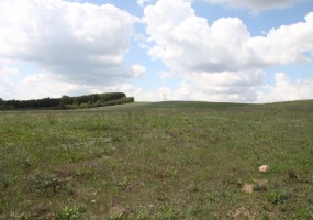 parcel for sale - Szubin (gw), Szkocja 