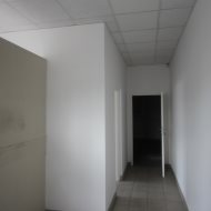 Lokal na wynajem