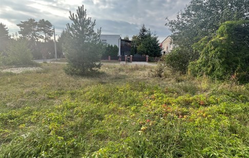 parcel for sale - Szubin (gw), Zamość