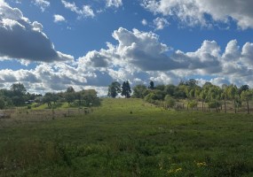 działka na sprzedaż - Bydgoszcz, Prądy