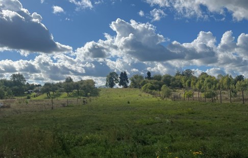działka na sprzedaż - Bydgoszcz, Prądy