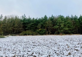działka na sprzedaż - Dobrcz, Stronno