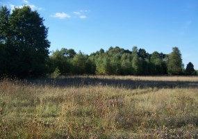 działka na sprzedaż - Lniano, Błądzim