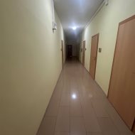 Lokal na wynajem