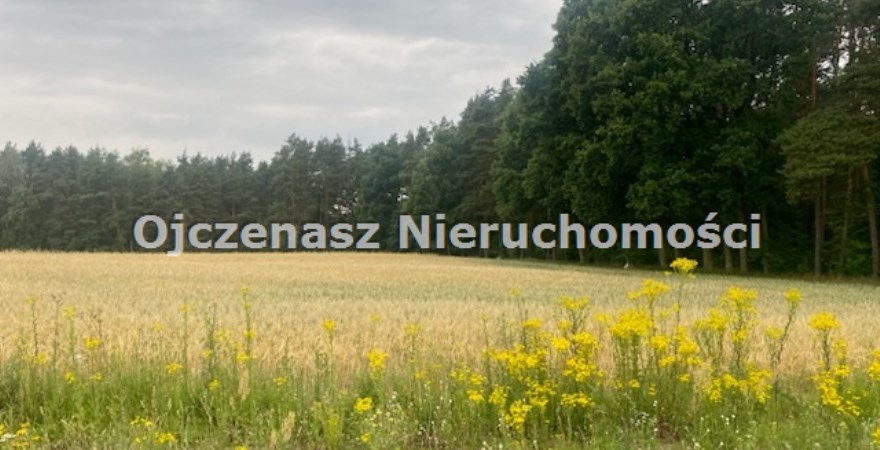 działka na sprzedaż, 885 m<sup>2</sup> - Łabiszyn (gw), Ojrzanowo