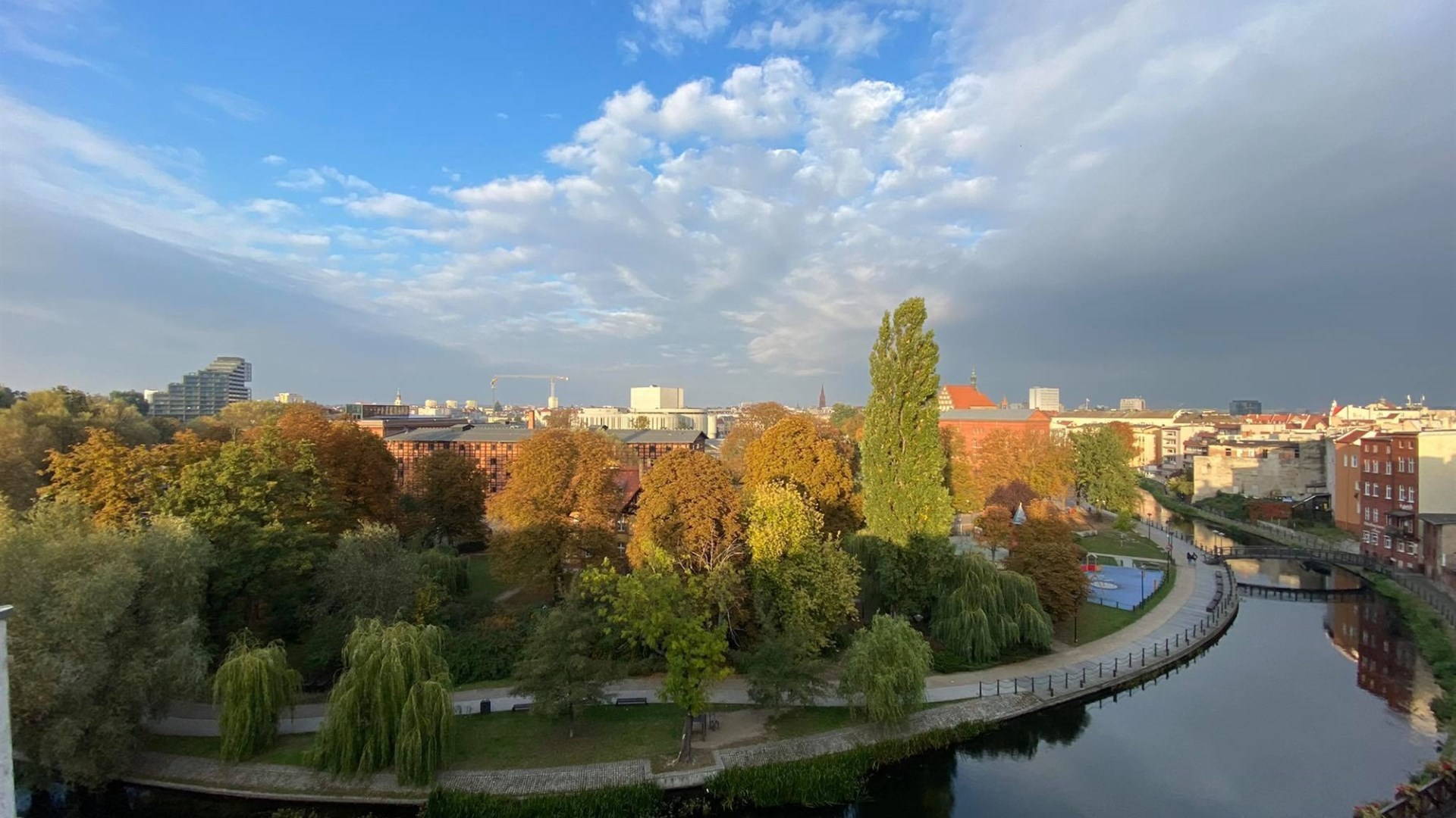 Mieszkanie na wynajem