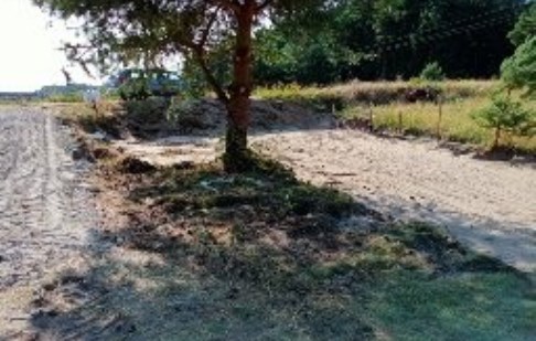 parcel for sale - Szubin (gw), Grzeczna Panna