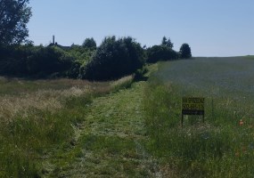 działka na sprzedaż - Sośno, Sitno