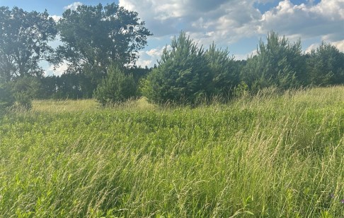 działka na sprzedaż - Osielsko, Żołędowo