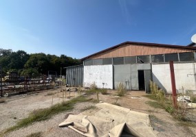 hall for sale - Szubin