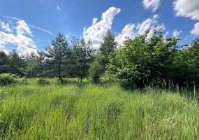 parcel for sale - Szubin (gw), Małe Rudy