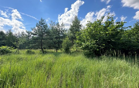 parcel for sale - Szubin (gw), Małe Rudy