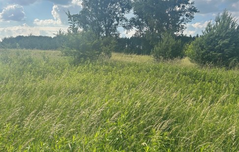 działka na sprzedaż - Osielsko, Żołędowo