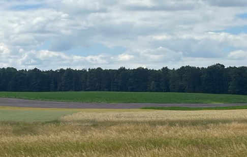 działka na sprzedaż - Łabiszyn (gw), Oporówek