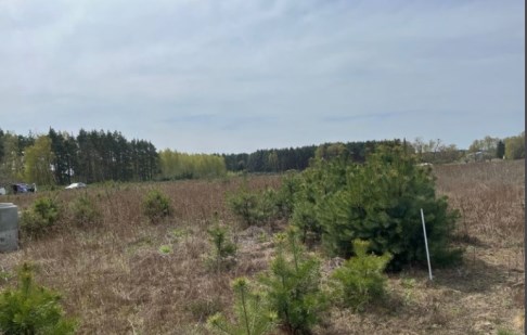 parcel for sale - Osielsko, Wilcze
