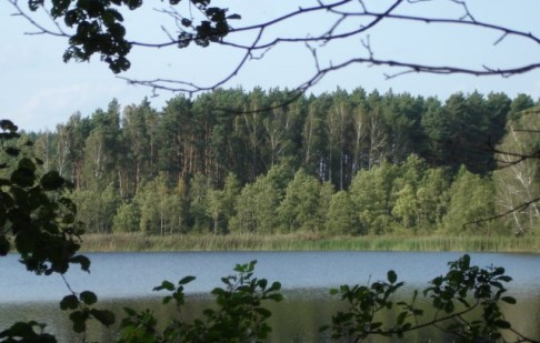 działka na sprzedaż - Koronowo (gw), Lucim