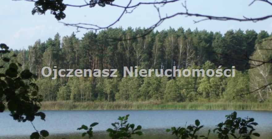 parcel for sale, 6 500 m<sup>2</sup> - Koronowo (gw), Lucim
