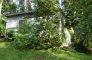 parcel for sale, 6 500 m<sup>2</sup> - Koronowo (gw), Lucim zdjecie5