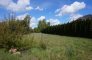 działka na sprzedaż, 1 250 m<sup>2</sup> - Białe Błota, Łochowo zdjecie2