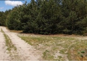parcel for sale - Szubin (gw), Szkocja 