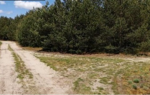 parcel for sale - Szubin (gw), Szkocja 