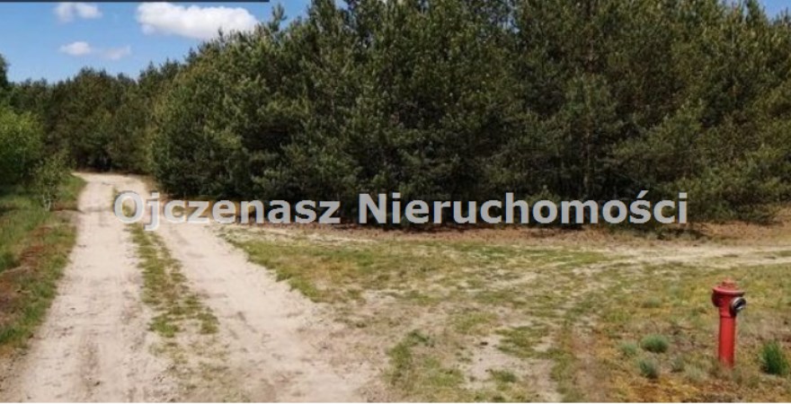 parcel for sale, 3 005 m<sup>2</sup> - Szubin (gw), Szkocja 
