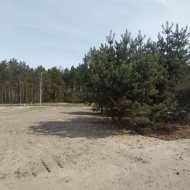 Dom na sprzedaż