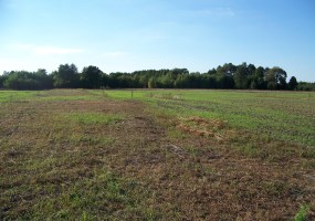 parcel for sale - Sicienko