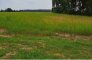 działka na sprzedaż, 1 020 m<sup>2</sup> - Koronowo (gw), Morzewiec zdjecie1