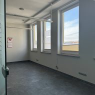 Lokal na wynajem