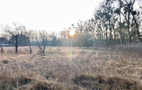 działka na sprzedaż - Białe Błota, Murowaniec