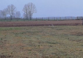 parcel for sale - Koronowo (gw), Więzowno