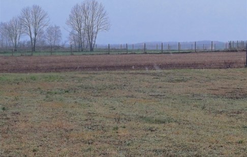 działka na sprzedaż - Koronowo (gw), Więzowno