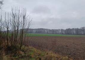 działka na sprzedaż - Koronowo (gw), Więzowno