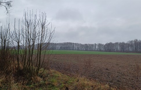 działka na sprzedaż - Koronowo (gw), Więzowno