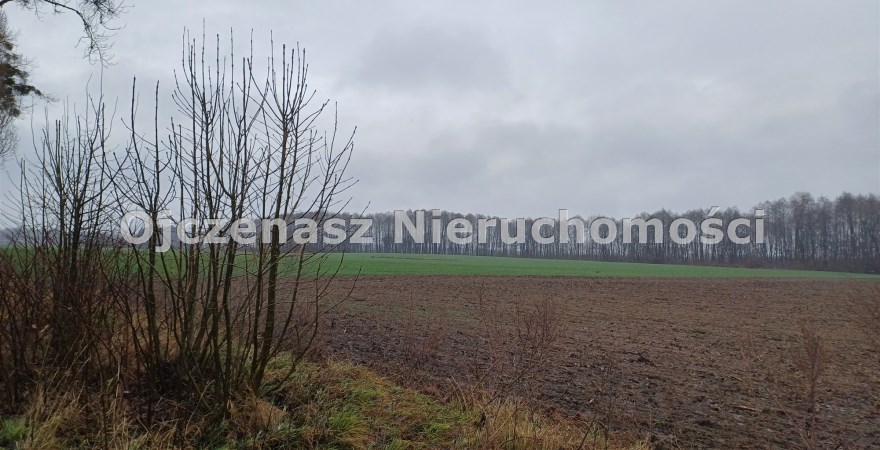działka na sprzedaż, 21 335 m<sup>2</sup> - Koronowo (gw), Więzowno
