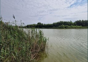 działka na sprzedaż - Dobrcz