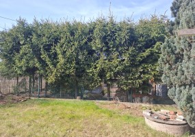 parcel for sale - Bydgoszcz, Osowa Góra