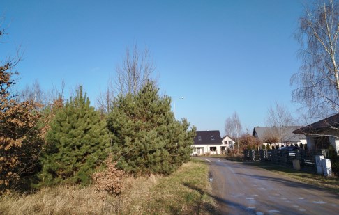 działka na sprzedaż - Osielsko, Żołędowo