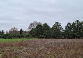 działka na sprzedaż - Osielsko, Jarużyn