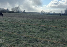 działka na sprzedaż - Białe Błota, Przyłęki