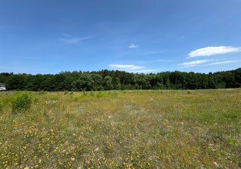 działka na sprzedaż - Osielsko, Niemcz